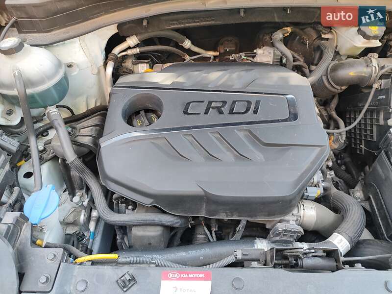 Внедорожник / Кроссовер Kia Sportage 2020 в Киеве