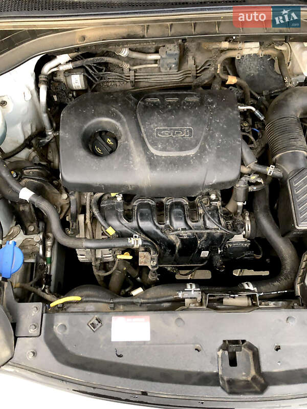 Внедорожник / Кроссовер Kia Sportage 2019 в Николаеве