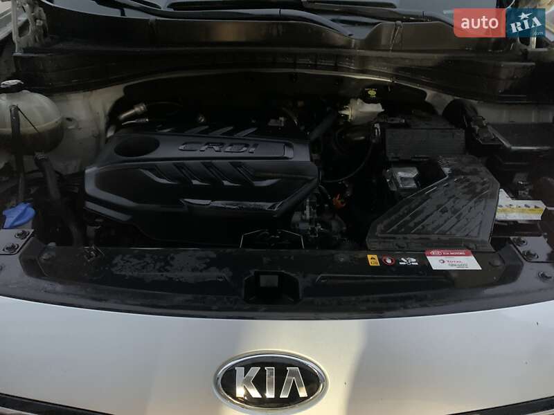 Внедорожник / Кроссовер Kia Sportage 2020 в Киеве фото 11 Внедорожник / Кроссовер Kia Sportage 2020 в Киеве
