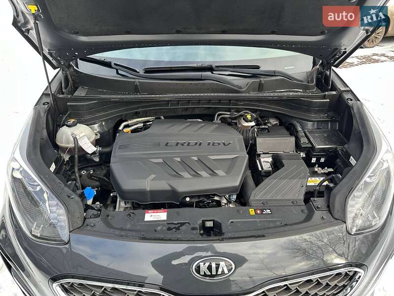 Внедорожник / Кроссовер Kia Sportage 2020 в Виннице