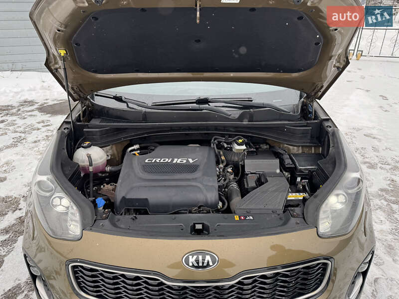 Позашляховик / Кросовер Kia Sportage 2016 в Полтаві фото 65 Позашляховик / Кросовер Kia Sportage 2016 в Полтаві