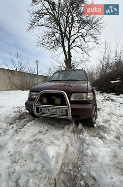 Внедорожник / Кроссовер Kia Sportage 1996 в Андрушевке