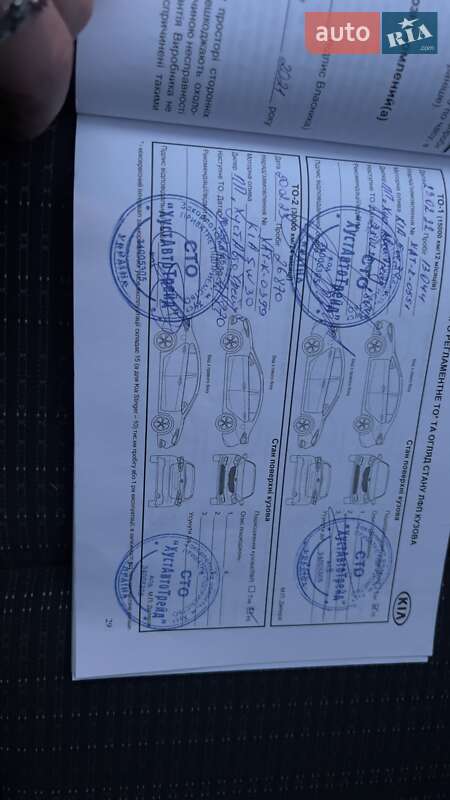 Внедорожник / Кроссовер Kia Stonic 2020 в Хусте