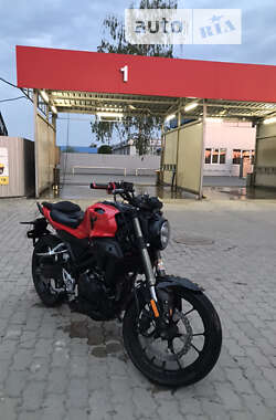 Мотоцикл Без обтекателей (Naked bike) Kovi Verta 200 2020 в Мукачево