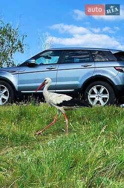 Внедорожник / Кроссовер Land Rover Range Rover Evoque 2013 в 