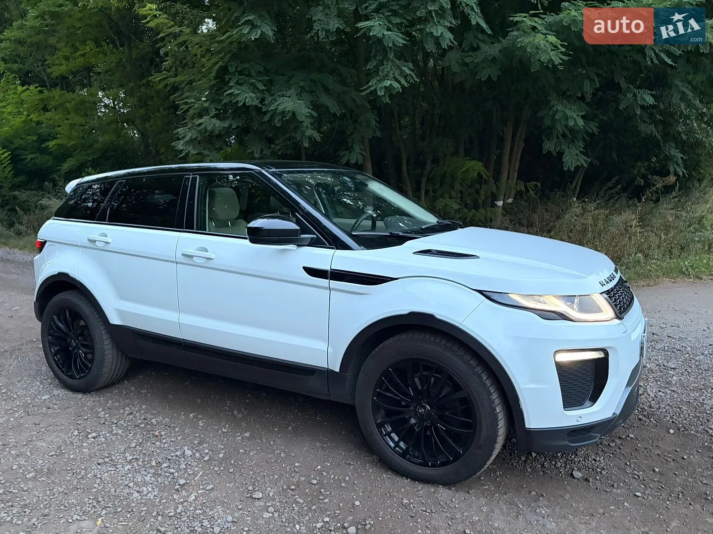 2015 Land Rover Range Rover Evoque - мініатюра 14