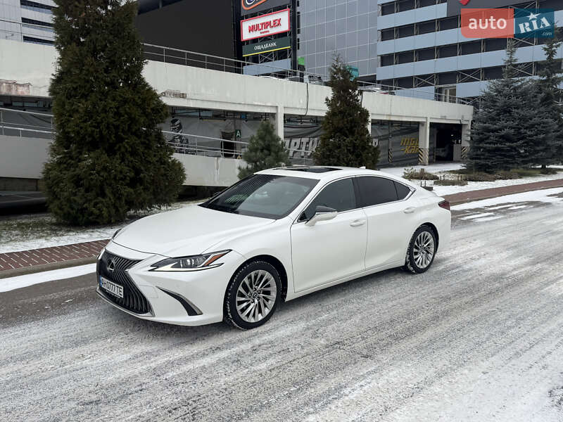 2019 Lexus ES, VIN JTHB11B1602018300:plate — фото 1 (autoria)