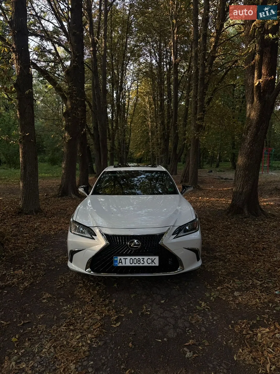 2020 Lexus ES - мініатюра 2