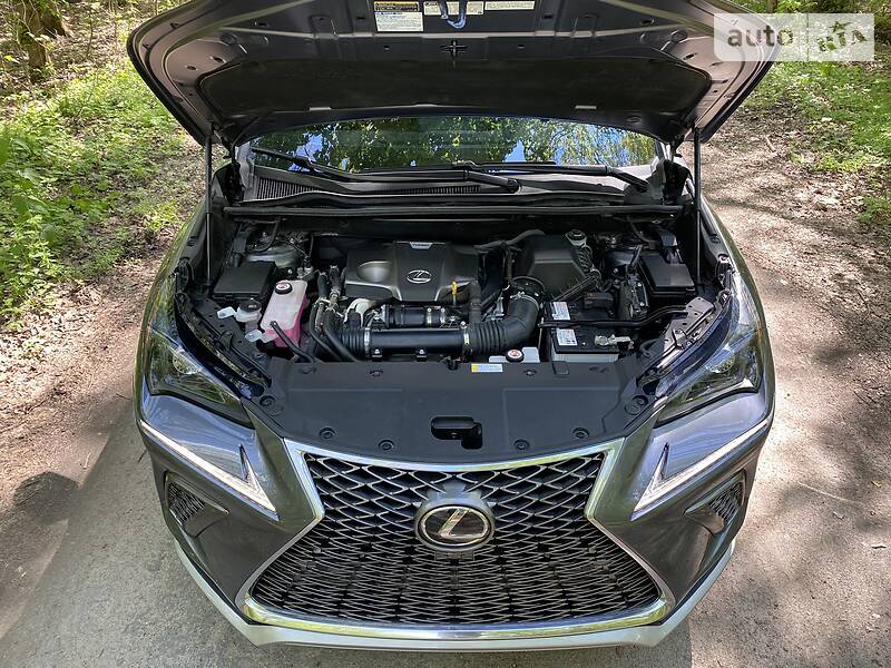 Позашляховик / Кросовер Lexus NX 2018 в Білій Церкві