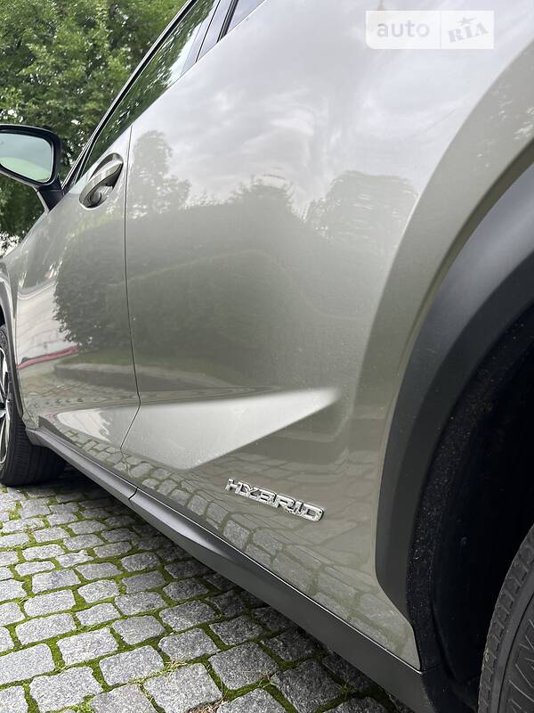 Внедорожник / Кроссовер Lexus NX 2019 в Киеве фото 4 Внедорожник / Кроссовер Lexus NX 2019 в Киеве