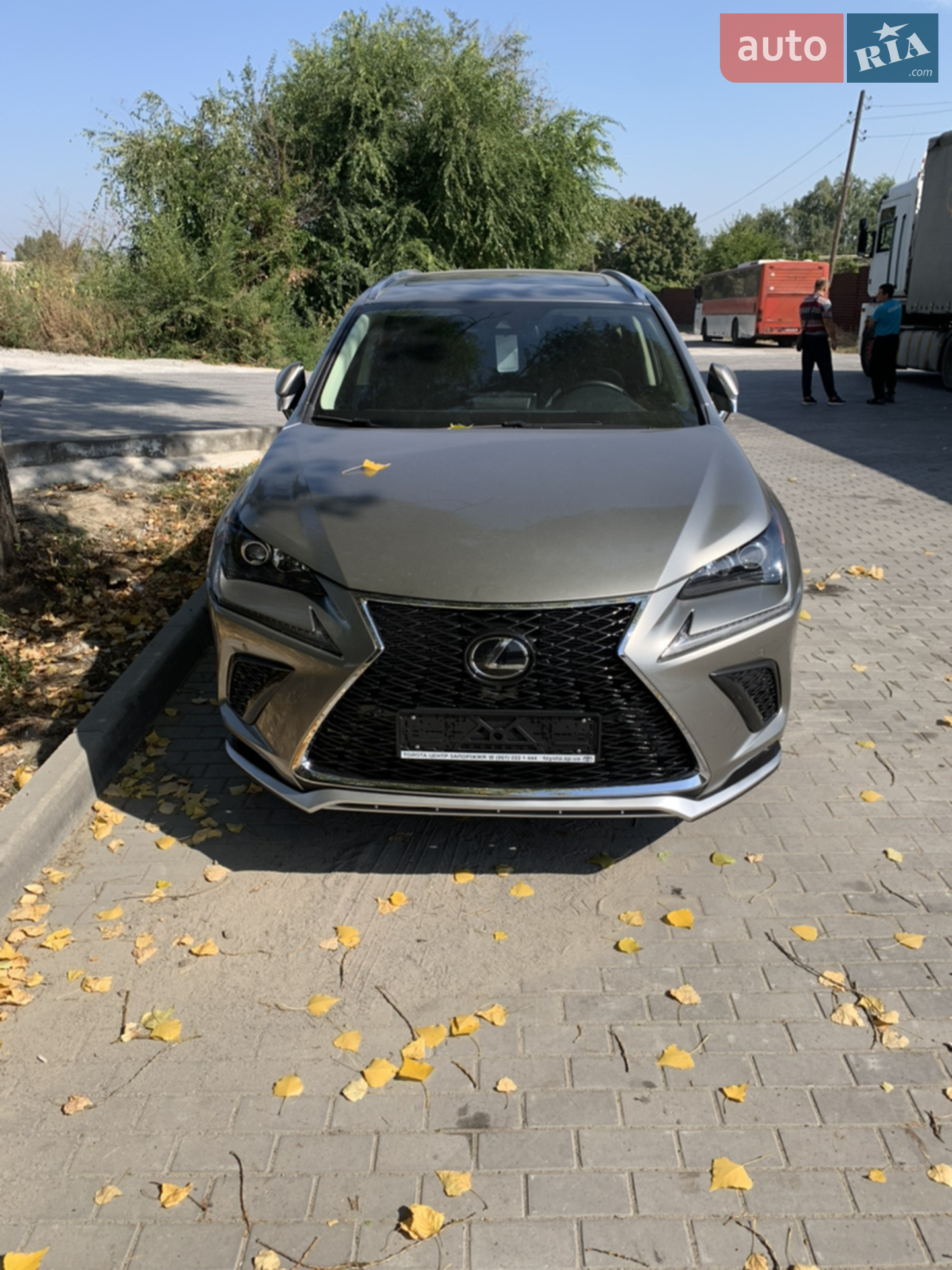 2019 Lexus NX - фото 1