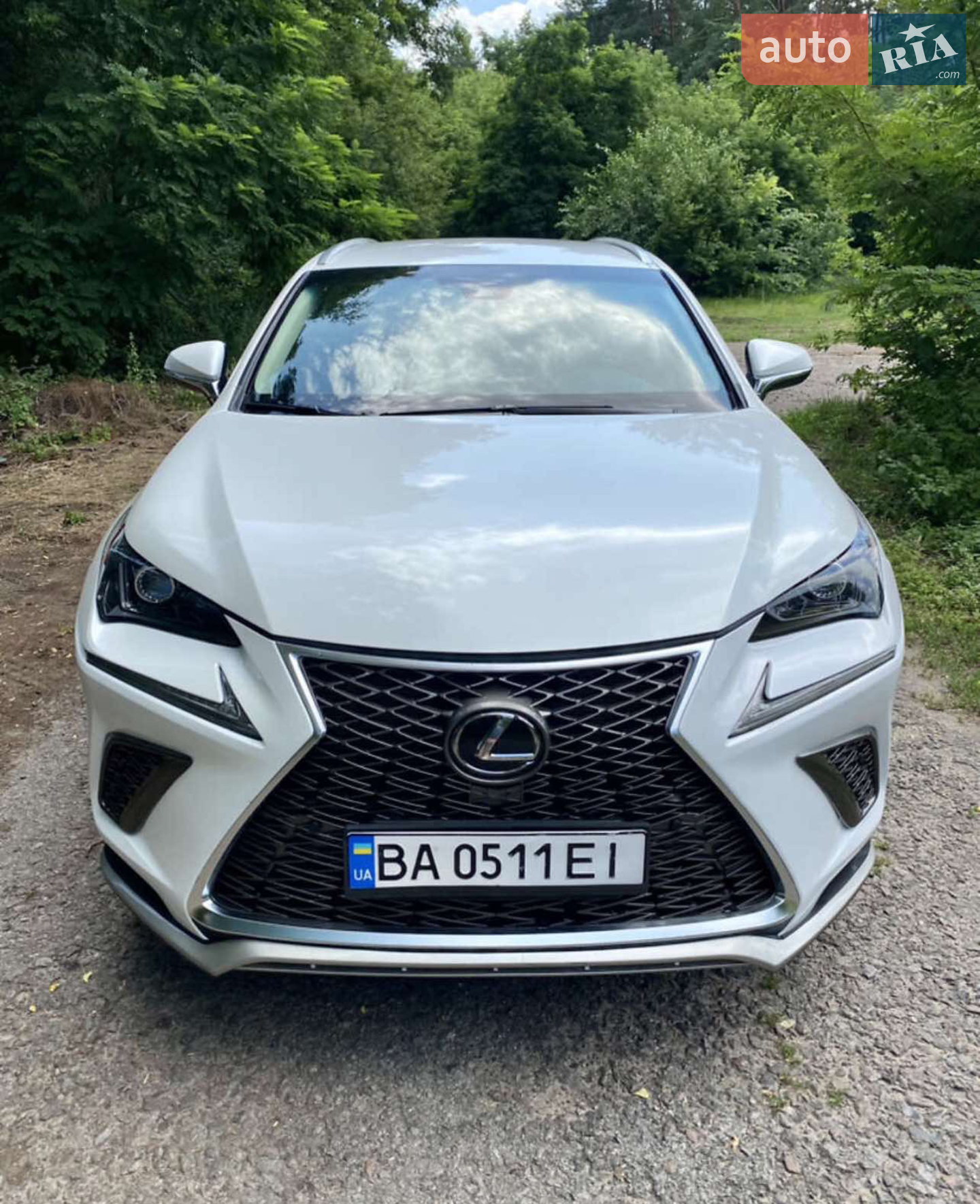 2019 Lexus NX - фото 1