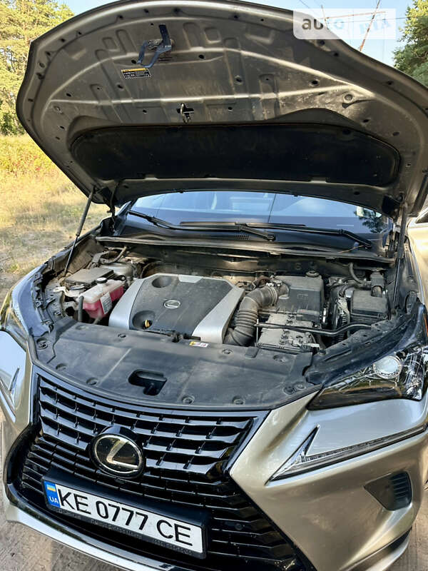 Внедорожник / Кроссовер Lexus NX 2020 в Днепре фото 10 Внедорожник / Кроссовер Lexus NX 2020 в Днепре