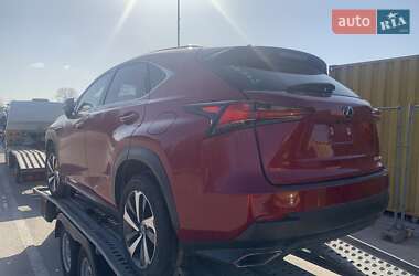 Внедорожник / Кроссовер Lexus NX 2019 в 
