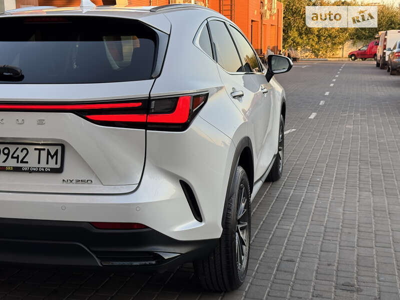 Позашляховик / Кросовер Lexus NX 2022 в Одесі
