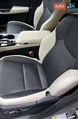 Внедорожник / Кроссовер Lexus NX 2022 в 