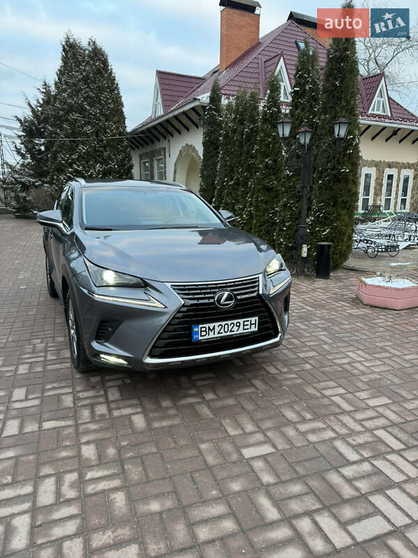 Позашляховик / Кросовер Lexus NX 2019 в Сумах