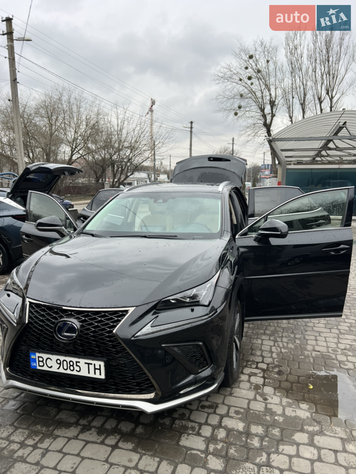 2018 Lexus NX - фото 1