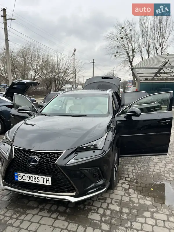 Lexus NX 2018