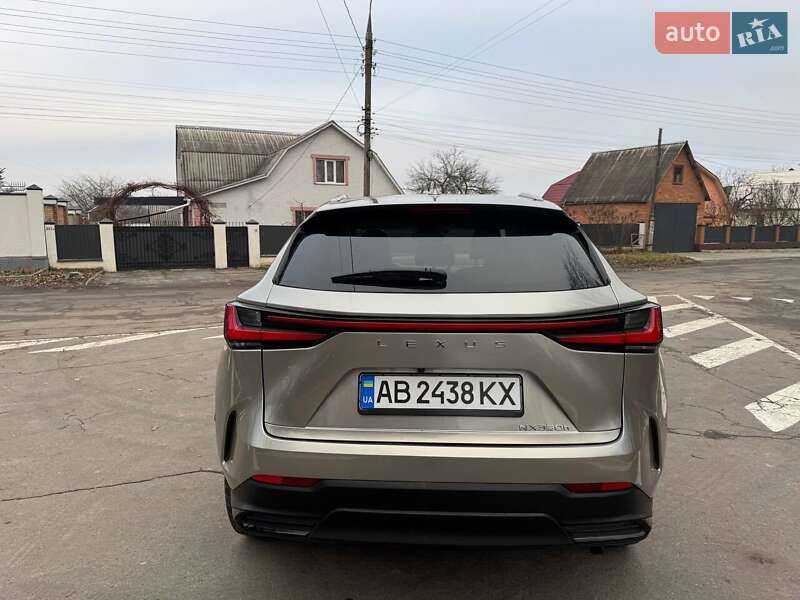 Позашляховик / Кросовер Lexus NX 2023 в Вінниці фото 19 Позашляховик / Кросовер Lexus NX 2023 в Вінниці