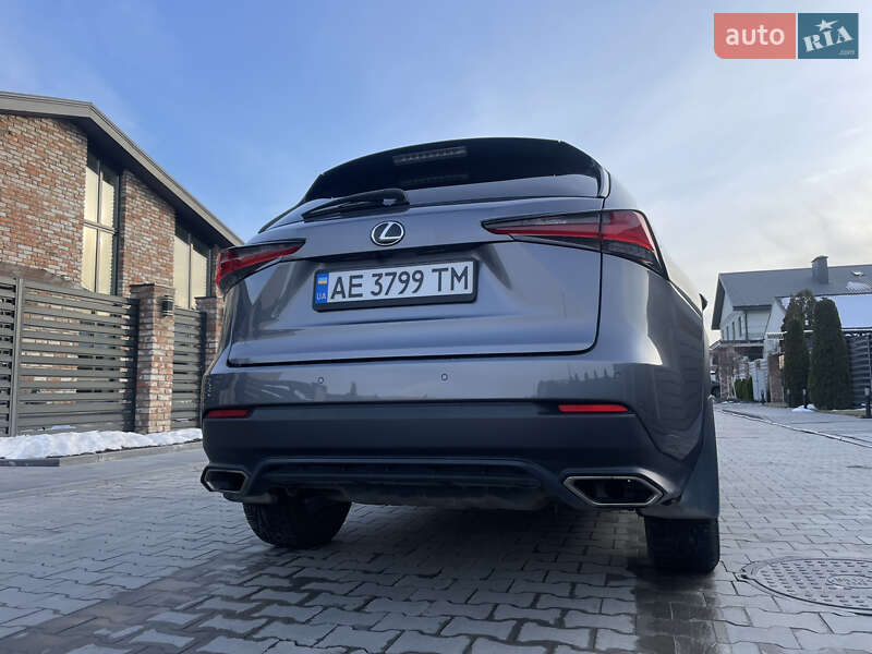 Внедорожник / Кроссовер Lexus NX 2020 в Днепре фото 8 Внедорожник / Кроссовер Lexus NX 2020 в Днепре