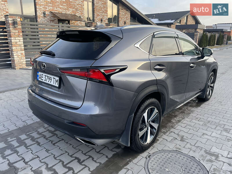 Внедорожник / Кроссовер Lexus NX 2020 в Днепре фото 10 Внедорожник / Кроссовер Lexus NX 2020 в Днепре