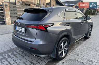 Позашляховик / Кросовер Lexus NX 2020 в 
