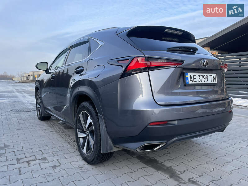 Внедорожник / Кроссовер Lexus NX 2020 в Днепре фото 12 Внедорожник / Кроссовер Lexus NX 2020 в Днепре