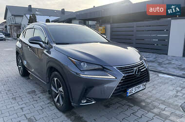 Позашляховик / Кросовер Lexus NX 2020 в 