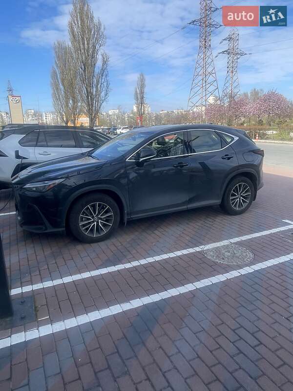 Внедорожник / Кроссовер Lexus NX 2022 в 