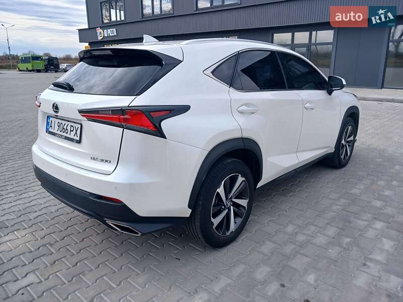 Внедорожник / Кроссовер Lexus NX 2020 в Киеве