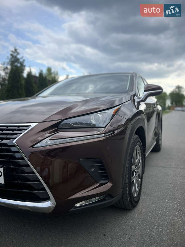 Позашляховик / Кросовер Lexus NX 2019 в Стрию