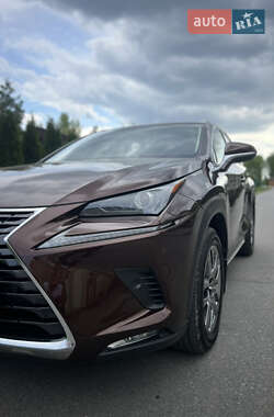 Внедорожник / Кроссовер Lexus NX 2019 в 