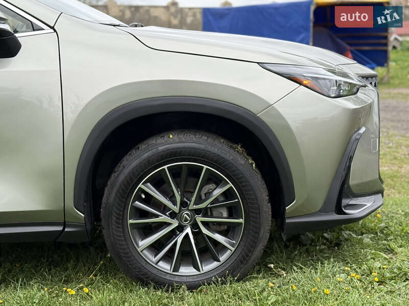 Внедорожник / Кроссовер Lexus NX 2023 в Ровно