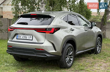 Позашляховик / Кросовер Lexus NX 2023 в 