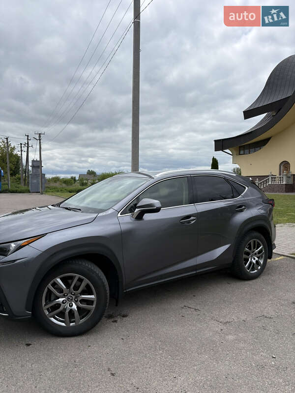 Внедорожник / Кроссовер Lexus NX 2019 в 