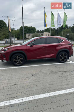 Позашляховик / Кросовер Lexus NX 2020 в 