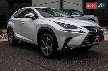 Внедорожник / Кроссовер Lexus NX 2020 в 