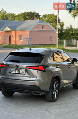 Внедорожник / Кроссовер Lexus NX 2019 в 