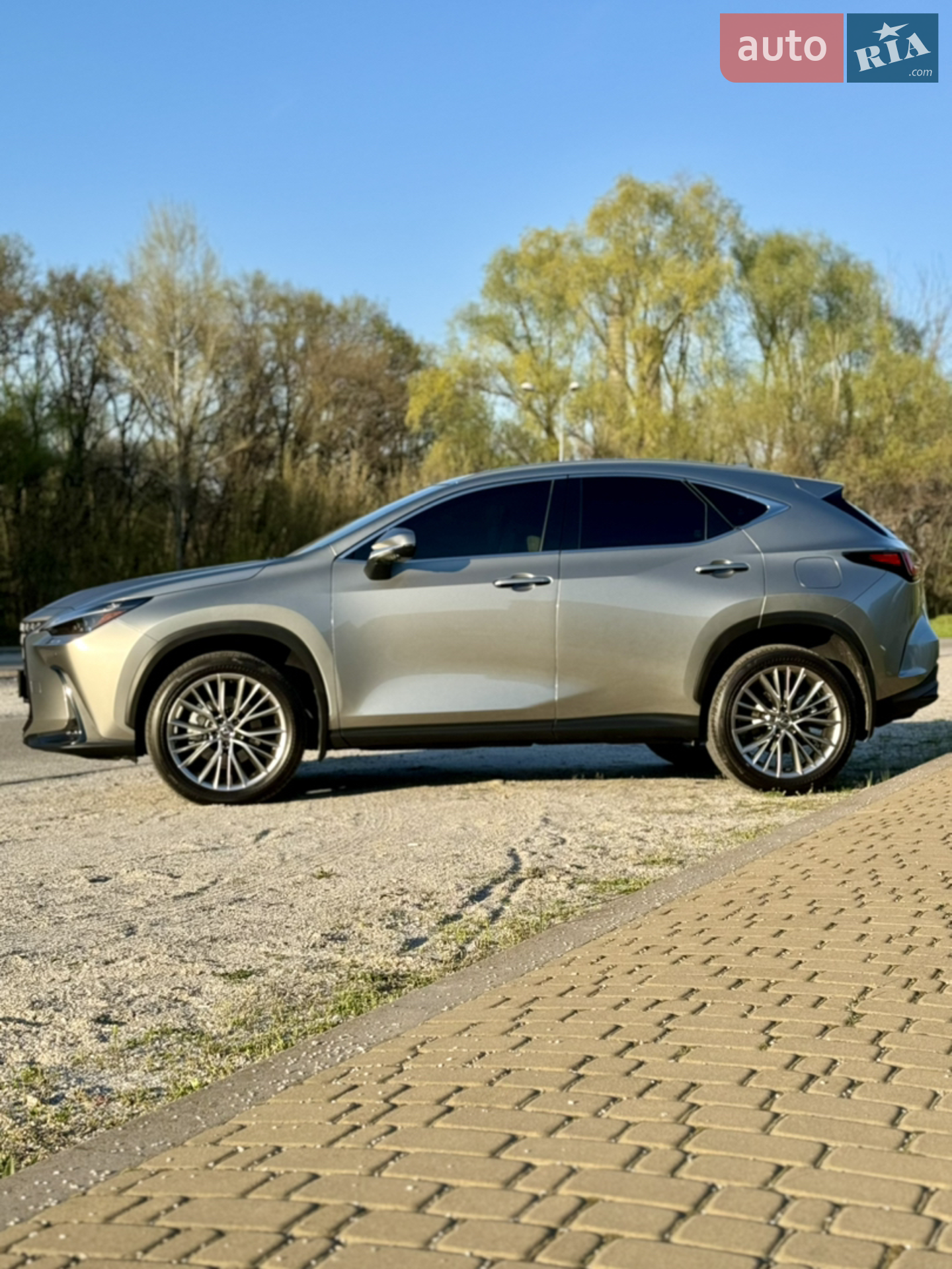 2024 Lexus NX - мініатюра 5