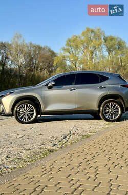 Внедорожник / Кроссовер Lexus NX 2024 в 