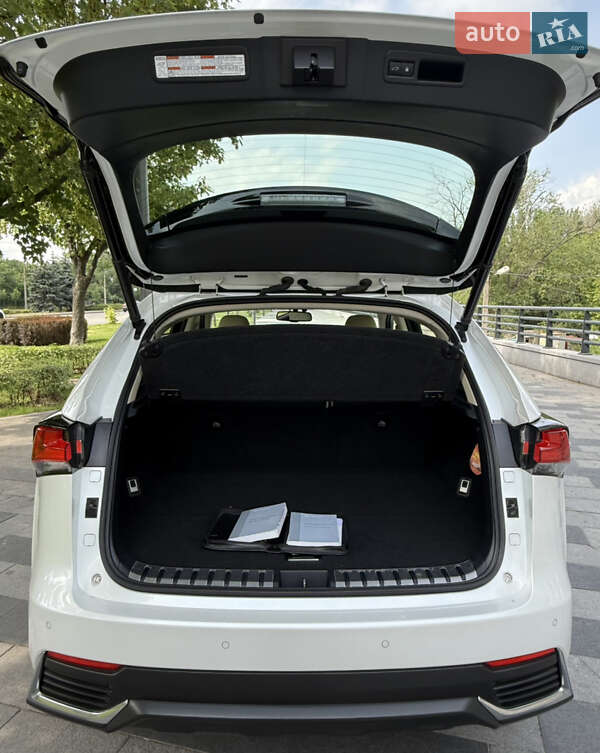 Внедорожник / Кроссовер Lexus NX 2018 в Днепре фото 29 Внедорожник / Кроссовер Lexus NX 2018 в Днепре