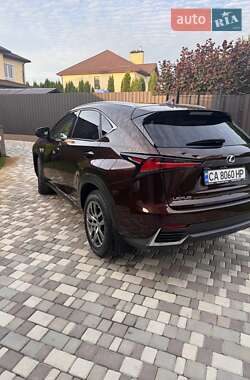 Внедорожник / Кроссовер Lexus NX 2019 в 