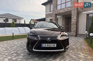Внедорожник / Кроссовер Lexus NX 2019 в 