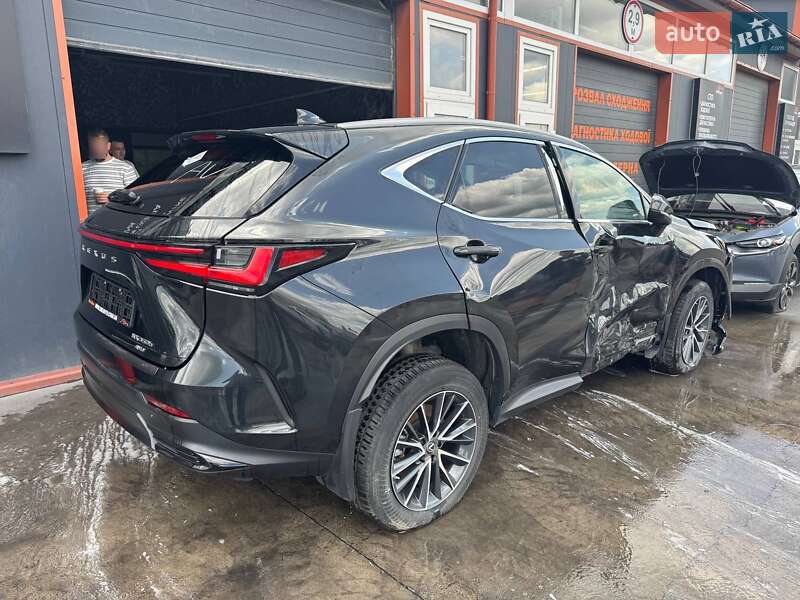 Внедорожник / Кроссовер Lexus NX 2023 в Львове фото 3 Внедорожник / Кроссовер Lexus NX 2023 в Львове