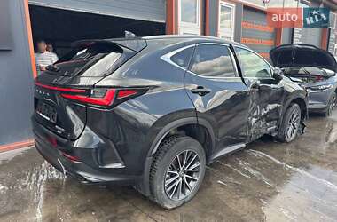 Внедорожник / Кроссовер Lexus NX 2023 в 