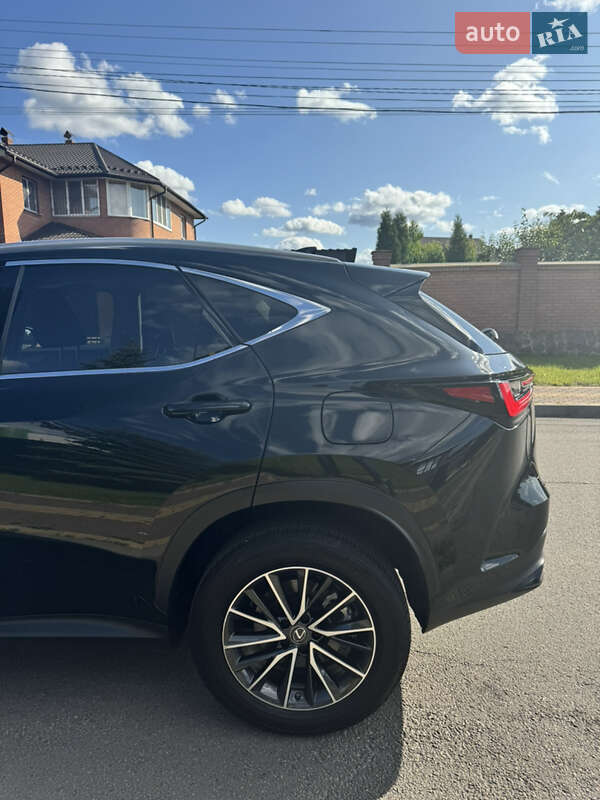 Внедорожник / Кроссовер Lexus NX 2022 в Киеве