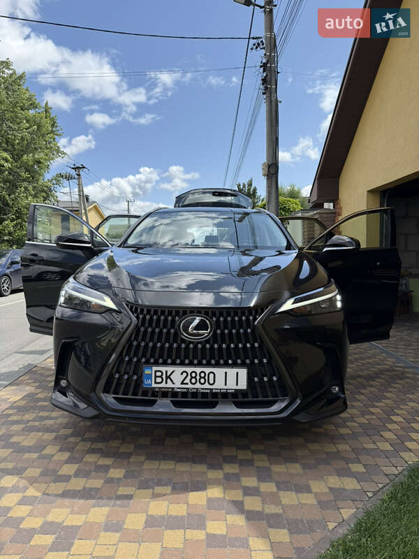 Внедорожник / Кроссовер Lexus NX 2022 в 