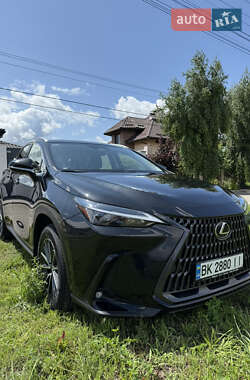Внедорожник / Кроссовер Lexus NX 2022 в 
