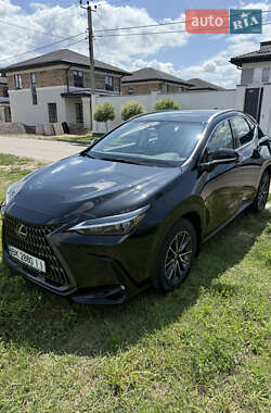 Внедорожник / Кроссовер Lexus NX 2022 в 